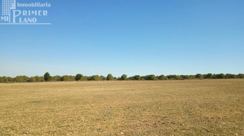 Ciudad Real - Tomelloso - 106141m2
