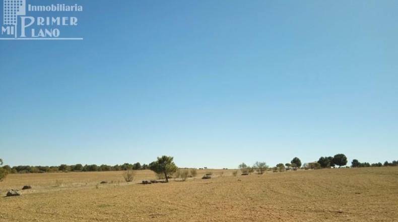 Ciudad Real - Tomelloso - 106141m2