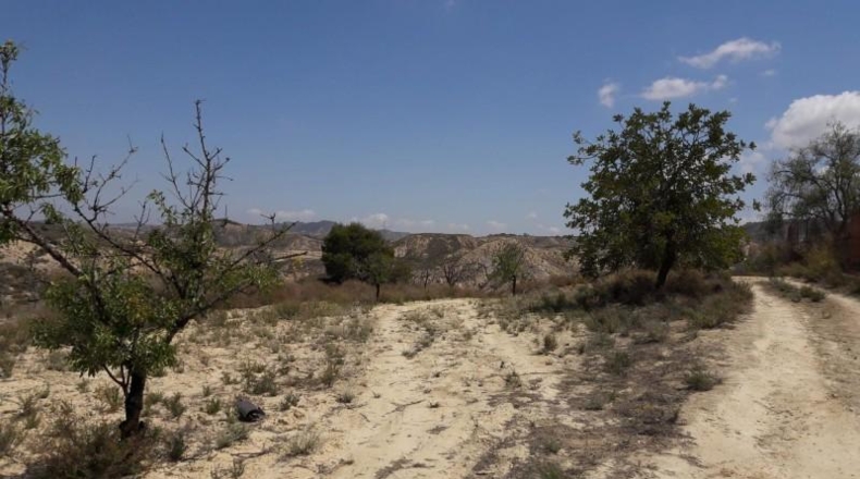 Múrcia - Murcia - 143256m2