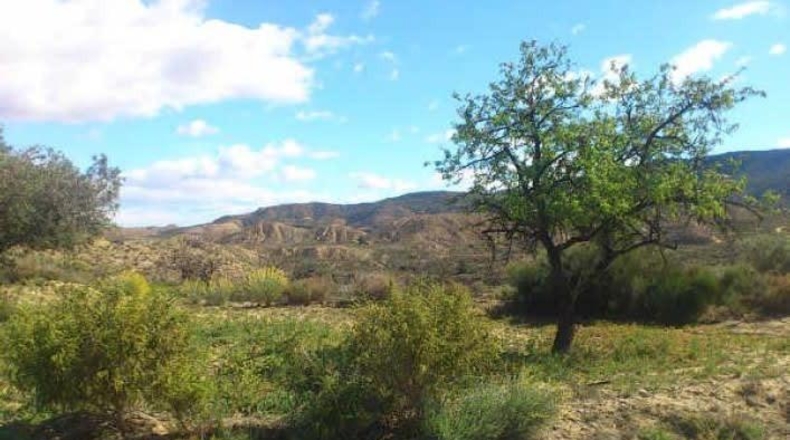 Múrcia - Murcia - 143256m2