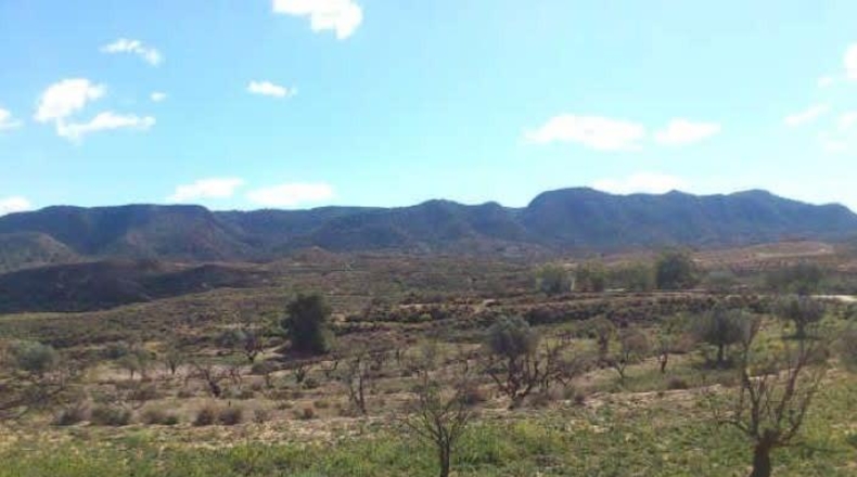 Múrcia - Murcia - 143256m2