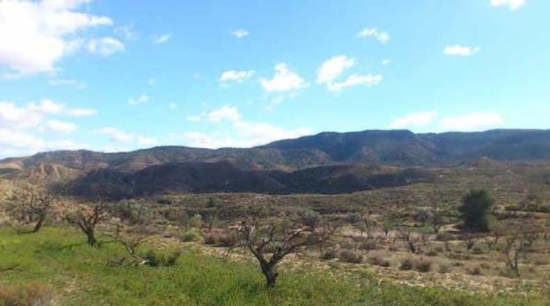 Múrcia - Murcia - 143256m2
