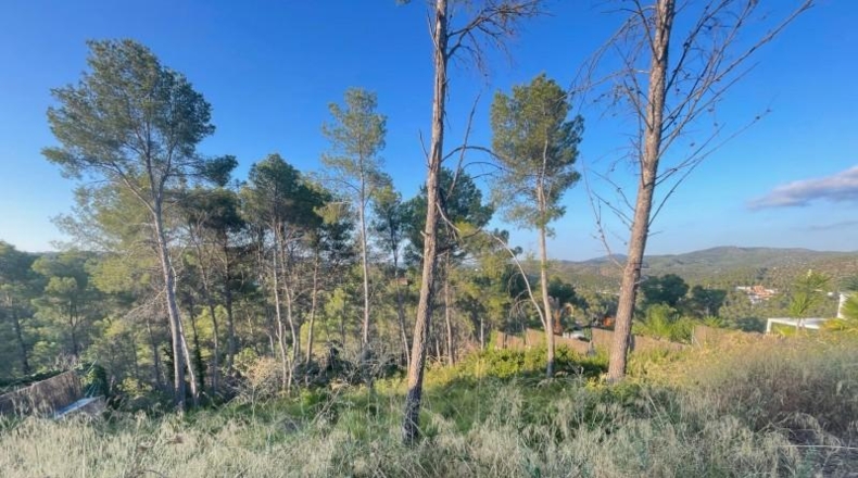 Barcelona - Olivella - 1000m2