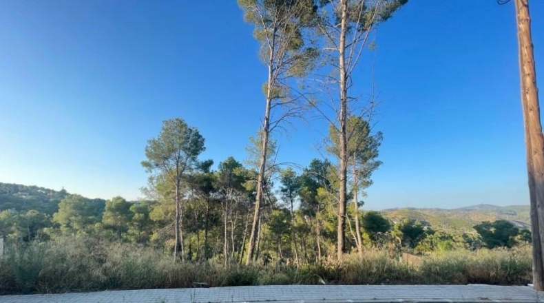 Barcelona - Olivella - 1000m2