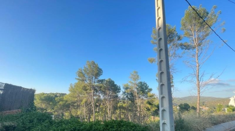 Barcelona - Olivella - 1000m2