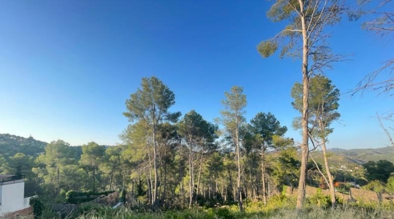 Barcelona - Olivella - 1000m2