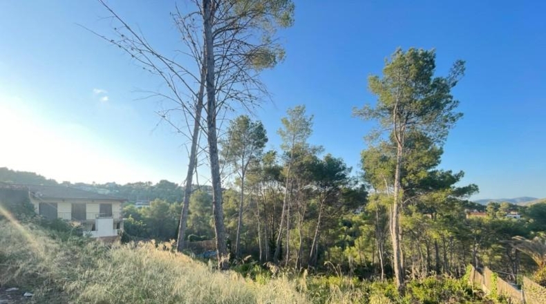 Barcelona - Olivella - 1000m2