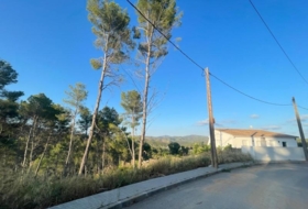 Foto 10
