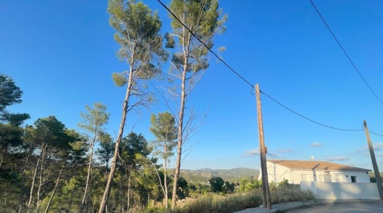 Barcelona - Olivella - 1000m2