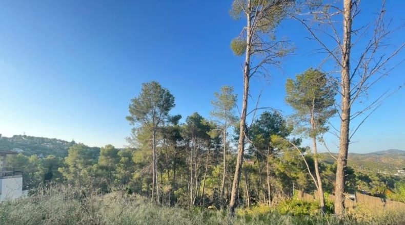 Barcelona - Olivella - 1000m2