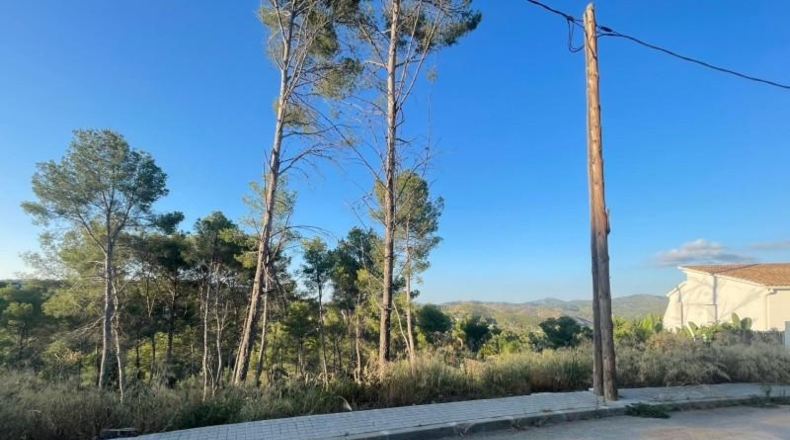 Barcelona - Olivella - 1000m2