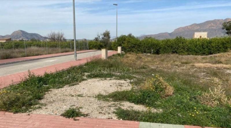 Murcia - Мурсия - 407m2