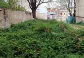 Casa de poble en venda a la España, Ontinyent, ref.: TR286074 foto