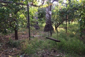 Foto 8
