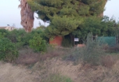 Terreny no urbanitzable en venda a la España, Múrcia, ref.: TR119623 foto
