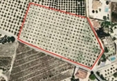 Terreny no urbanitzable en venda a la España, Alacant, ref.: TR282168 foto
