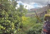 Дом с участком на продажу в городе Barbadás Фото