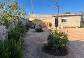 Finca rústica en venta en la España, Orihuela, ref: TR336996 foto