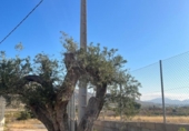 Finca rústica en venta en la España, Orihuela, ref: TR336996 foto