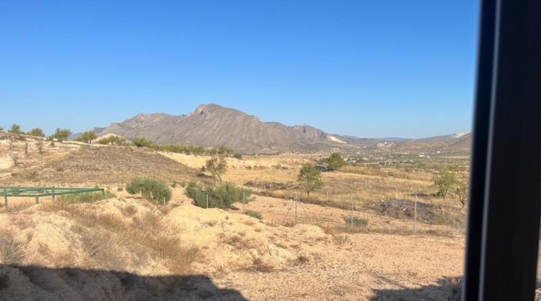Alicante - el Fondó dels Frares - 4904m2