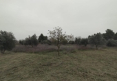 Xalet independent amb terreny en venda a la España, Vall-de-roures, ref.: TR363682 foto