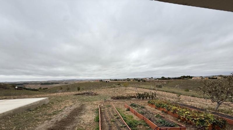 Guadalajara - Albalate de Zorita - 2291m2