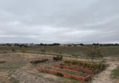 Sòl urbà en venda a la España, Albalate de Zorita, ref.: TR363441 foto