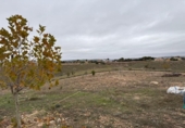 Sòl urbà en venda a la España, Albalate de Zorita, ref.: TR363441 foto