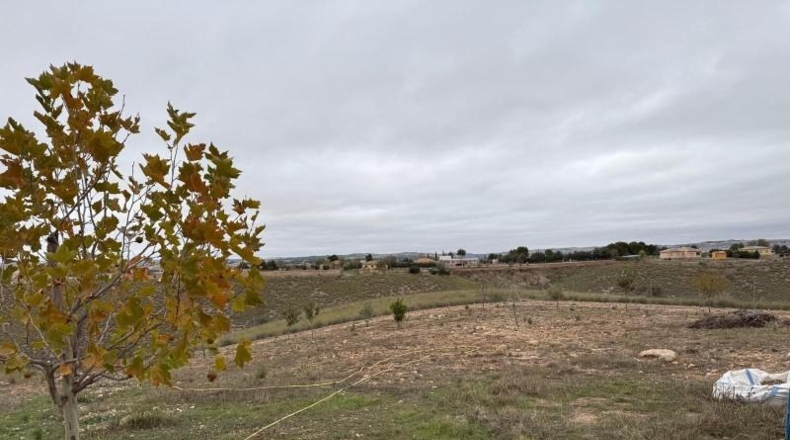 Guadalajara - Albalate de Zorita - 2291m2