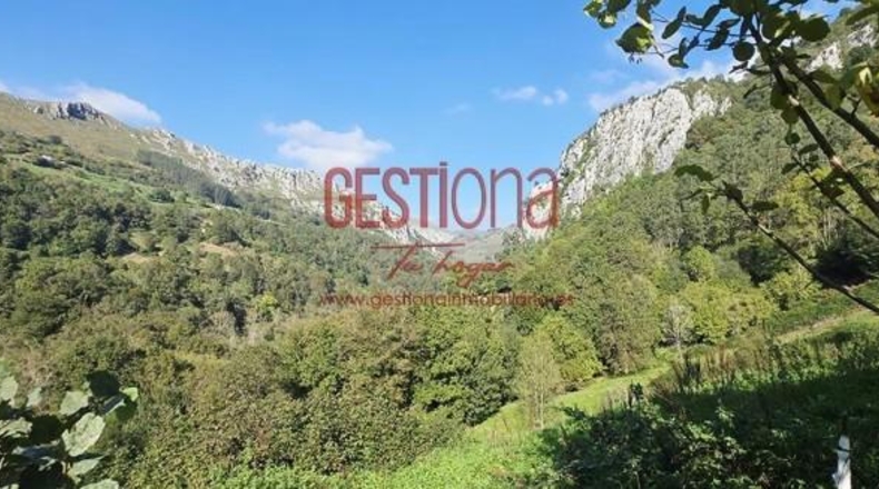 Cantabria - Miera - 90m2