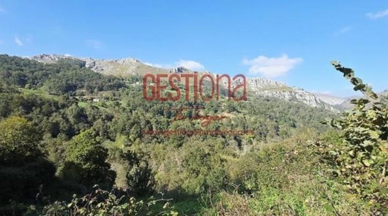 Cantabria - Miera - 90m2