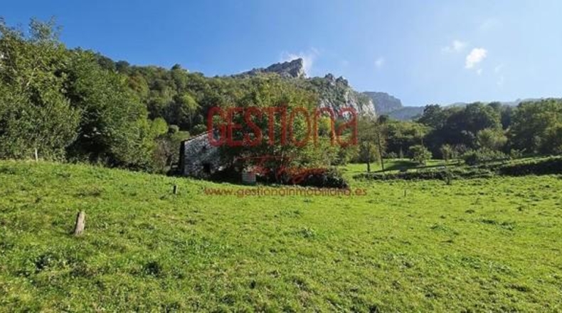 Cantabria - Miera - 90m2