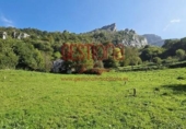 Casa de poble en venda a la España, Miera, ref.: TR350737 foto
