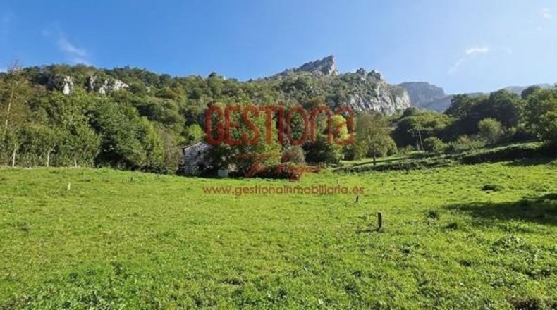 Cantabria - Miera - 90m2