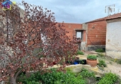 Detached villa with land for sale on España, Villanueva del Río Segura, ref: TR293378 photo