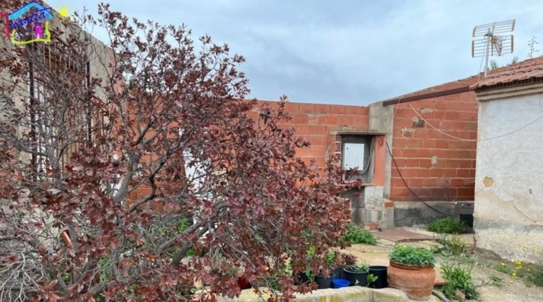Múrcia - Villanueva del Río Segura - 4500m2