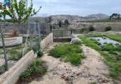 Detached villa with land for sale on España, Villanueva del Río Segura, ref: TR293378 photo