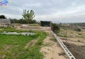 Detached villa with land for sale on España, Villanueva del Río Segura, ref: TR293378 photo