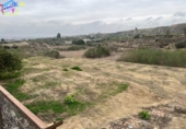 Detached villa with land for sale on España, Villanueva del Río Segura, ref: TR293378 photo