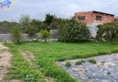 Detached villa with land for sale on España, Villanueva del Río Segura, ref: TR293378 photo