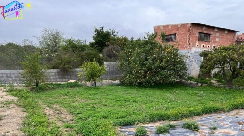 Múrcia - Villanueva del Río Segura - 4500m2