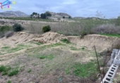 Detached villa with land for sale on España, Villanueva del Río Segura, ref: TR293378 photo