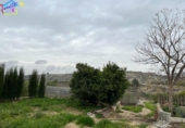 Detached villa with land for sale on España, Villanueva del Río Segura, ref: TR293378 photo
