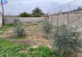 Detached villa with land for sale on España, Villanueva del Río Segura, ref: TR293378 photo