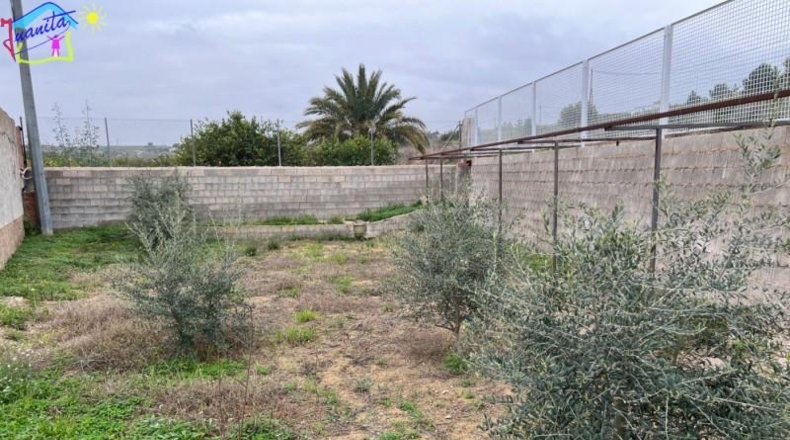 Múrcia - Villanueva del Río Segura - 4500m2