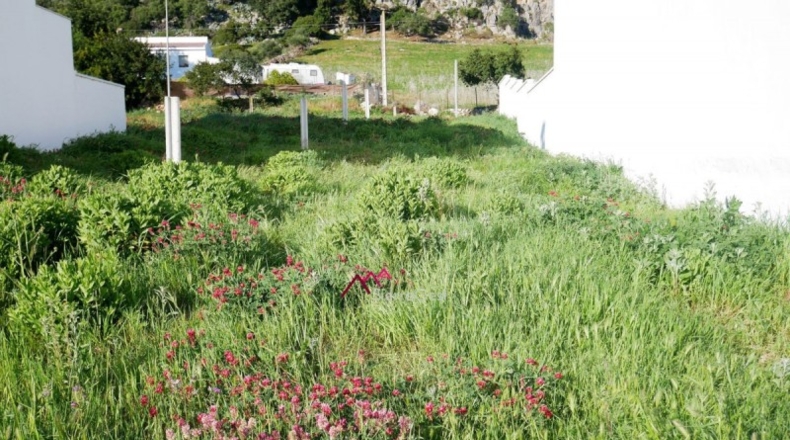 Cádiz - Ubrique - 250m2