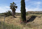 Land suitable for development for sale on España, Calasparra, ref: TR119469 photo