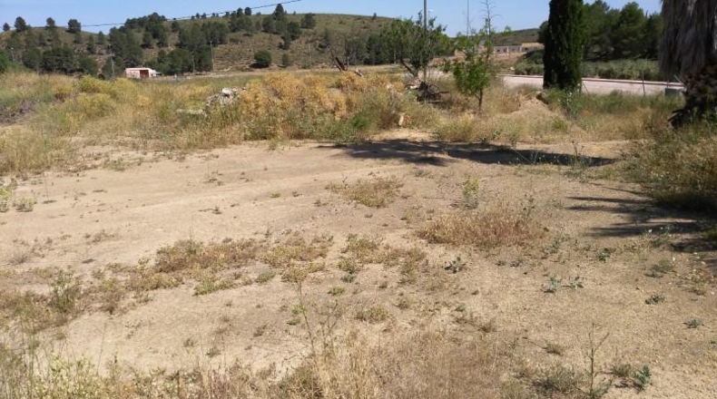 Múrcia - Calasparra - 2122m2