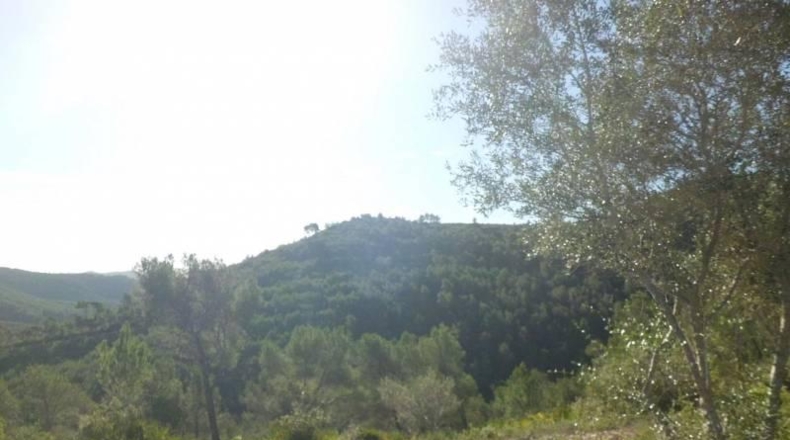 Barcelona - Olivella - 1054m2