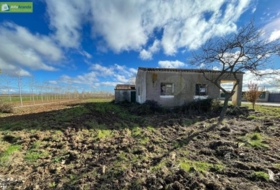 Berlangas de Roa 1569&nbsp;m²